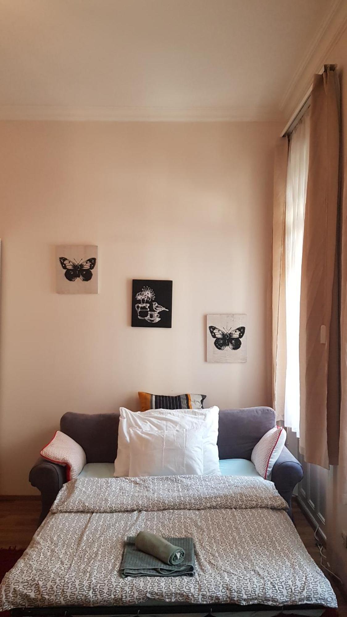 Center Royalty Apartment 布达佩斯 外观 照片