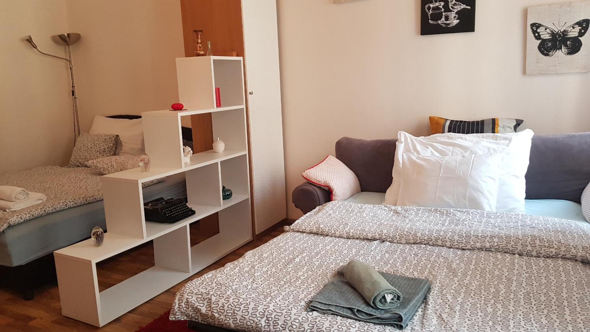 Center Royalty Apartment 布达佩斯 外观 照片